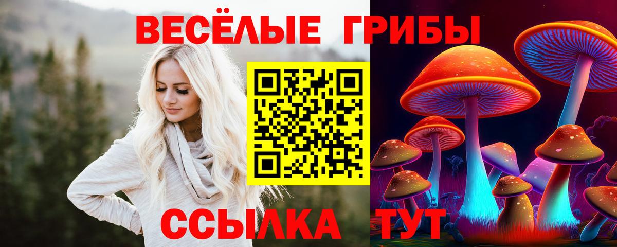 Галлюциногенные грибы GOLDEN TEACHER Чебаркуль