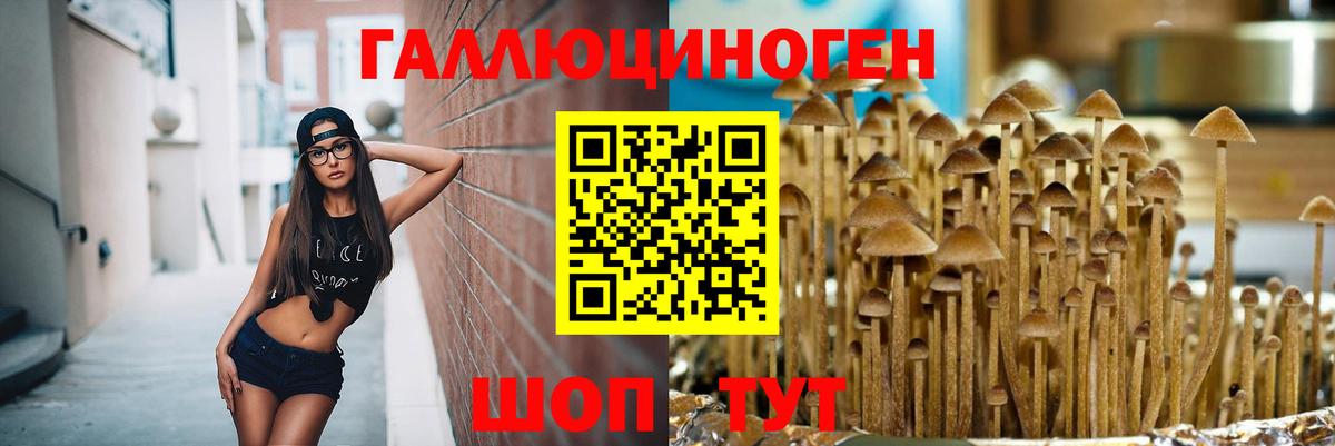 Псилоцибиновые грибы прущие грибы  Вход с VPN  Чебаркуль 